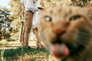 外国人「好き放題やってる動物の写真を世界から集めてみたｗｗｗｗ」