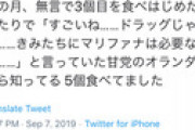 萩の月を食べたオランダ人「これもうドラッグですやん?」