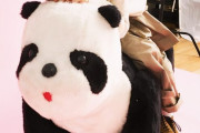 【乃木坂46】パンダ飛鳥ちゃんがかわいすぎるwww