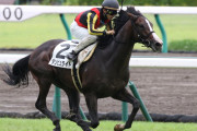 【競馬】　ルーラーシップとかいうリーディング5位だけど成功した感じがしない種牡馬