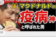 【速報】ゆっくり解説投稿者、マクドナルド原田氏に潰される