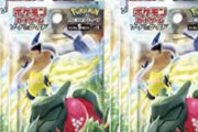 【悲報】ワイ、海外に総額200万円のポケモンカードを送るも紛失されて絶望