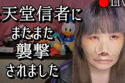 【悲報】あのPS派美女YouTuberさん、またまた任天堂ファンに襲撃され重症を負ってしまう【3回目】
