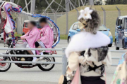 式典会場に響く改造バイクの爆音、〝荒れる成人式〟も今は昔か