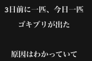 とあるお笑い芸人さん「ゴキブリが3日前に一匹、今日も一匹出た。なんでだろ？」 → 最悪の原因が判明・・・