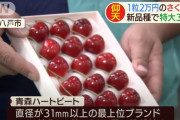 韓国人「日本の果物価格は精神病者集団みたい」日本でサクランボ一粒に２万円の値段が付く‥　韓国の反応