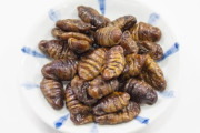 【食】世界の昆虫食市場が右肩上がりで成長中！　栄養豊富で環境負荷も小さく