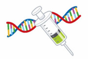 【良報】政府、人間の受精卵の遺伝子改変を容認へ
