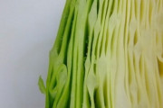 【朗報】野菜一日500g食うようになったワイに起こった変化ｗｗｗｗｗｗ