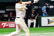 柳田悠岐（33）　.253 7 32 ops.773