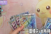 【議論】伊藤理々杏さんにぴったりなポケモンってなんや？？？