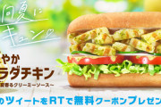 SUBWAY「日向夏にキュン」www 完全にやってますねー