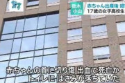 友人と遊びに来たショッピングモールのトイレで男児出産　ハサミで何度も切りつけ殺害した疑いで女子高生を逮捕　床は血まみれ