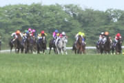【競馬】毎年クラシックに一頭はいるよなーって馬の特徴
