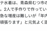韓国人「日本人がデザインした『水着』に注文が殺到！」→「どうして日本人はこんなのが欲しいの？」　韓国の反応