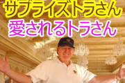 記者「ﾄﾗﾝﾌﾟ勝利を確信！」謎の勢力「ファッ！？」米国「情報源は前情報長官説！」記者「最高裁は事件を取り上げるべき（意味深」バイデン息子「まだ中国株10％持ってるぞ」→