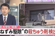 【絶望】東京の繁華街、もうネズミまみれ　少なくとも２５万匹ｗｗｗｗｗｗｗｗｗｗｗｗ