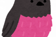 ピンクロビンとかいう嘘みたいな鳥ｗｗｗｗｗｗｗｗｗｗ