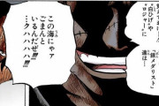 クロコダイル(8100万）「俺はロジャー(55億）や白ひげ(50億)に勝てなかっただけの銀メダリスト」