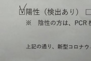 【悲報】ワイ氏コロナワクチン接種を4回するも無事感染wwwww