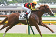 【競馬予想】第8回サウジアラビアロイヤルカップ(GIII) /2022