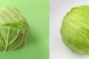 【急募】キャベツとレタスの見分け方?