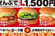 【朗報】ドムドムハンバーガー、神のようなセットを販売！！ お前ら急げ！！！