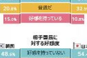 【世論調査】日本が好きな韓国人15％　韓国が好きな日本人10.8％　韓国財団調べ