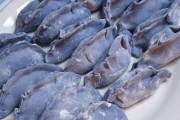 青紫から赤に色が変化する粉を皮に練り込んだ餃子に酢をつけると色が変わるか？→結果