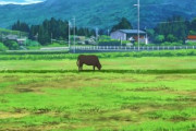 ド田舎だけど娯楽がパチンコ屋しかなくて草ｗｗｗ