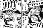 ワンピース「懸賞金は戦闘力ではありません」