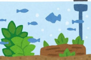 アクア民さん「アクアリウムとかやってそう←これに反撃する方法が俺らにはない」