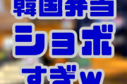 【画像】韓国選手団の弁当がショボすぎて日本人に同情されるｗ