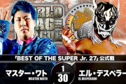 『BEST OF THE SUPER Jr. 27』 マスター・ワトvsエル・デスペラード 【11.23群馬】