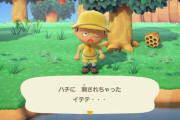 『あつまれ どうぶつの森』蜂を安全に捕獲する方法