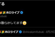 【ホロライブ】フブちゃんのとあるツイートが伸びまくっている