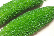 ゴーヤ「苦くして食べられないようにしよう」人間「うまいうまい」トウガラシ「辛くして食べられないようにしよう」人間「うまいうまい」