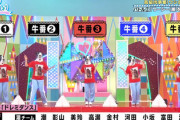 【日向坂46】『ひなあい』2周目も楽しめる革新的な企画を生み出すw