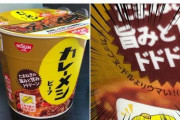 【画像】カップヌードル「初めてですよ…この私をここまでコケにした即席食品は…」