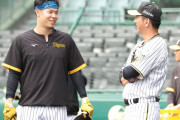 阪神・藤川監督 佐藤輝をベタ褒め！