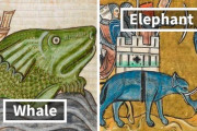 ヨーロッパ中世絵師「知らない動物だけど想像で描いたろｗｗｗ」→現代で晒される