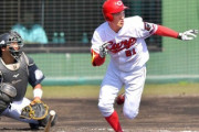 カープドラ6矢野は田中広輔の休養日にショートスタメンもあり？キャンプでは攻守でアピール