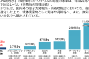 西側各国メディア「韓国の野党、日本の汚染水を政治利用している。本当に不安なら仏原発の方を心配するべきだ」