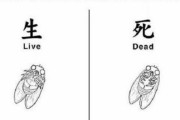 動物や昆虫が「死んだふり」（画像あり）