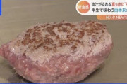 【画像】「真っ赤な半生の生バーグ」が流行中ｗｗｗｗｗｗｗｗｗｗｗｗｗｗｗｗｗｗｗｗｗｗ