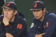 山本由伸と日本時代のダルどっちが上？？？