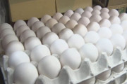 【速報】卵1パック308円 過去最高に並ぶ