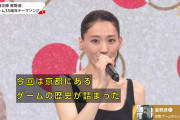 【悲報】NHK「京都のゲームの歴史が詰まったミュージアム」→星野源「ニンテンドーミュージアムから」