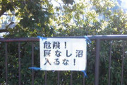 【◯◯沼】今はまりそうな沼を書くと、沼住民が魅力や危険性を教えてくれるトピ