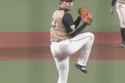 日ハム堀瑞輝 49試合 2勝1敗 32ホールド 防御率2.11